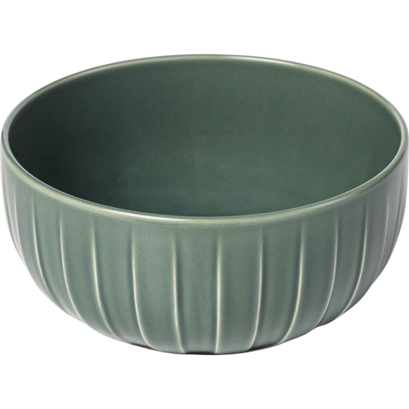 Qualitier ABSOLUTE BĻODA 17CM PAPARDES ZAĻA, Qualitier