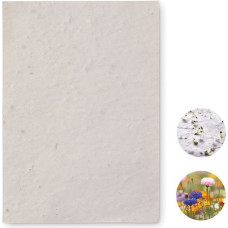 A6 wildflower seed paper sheet