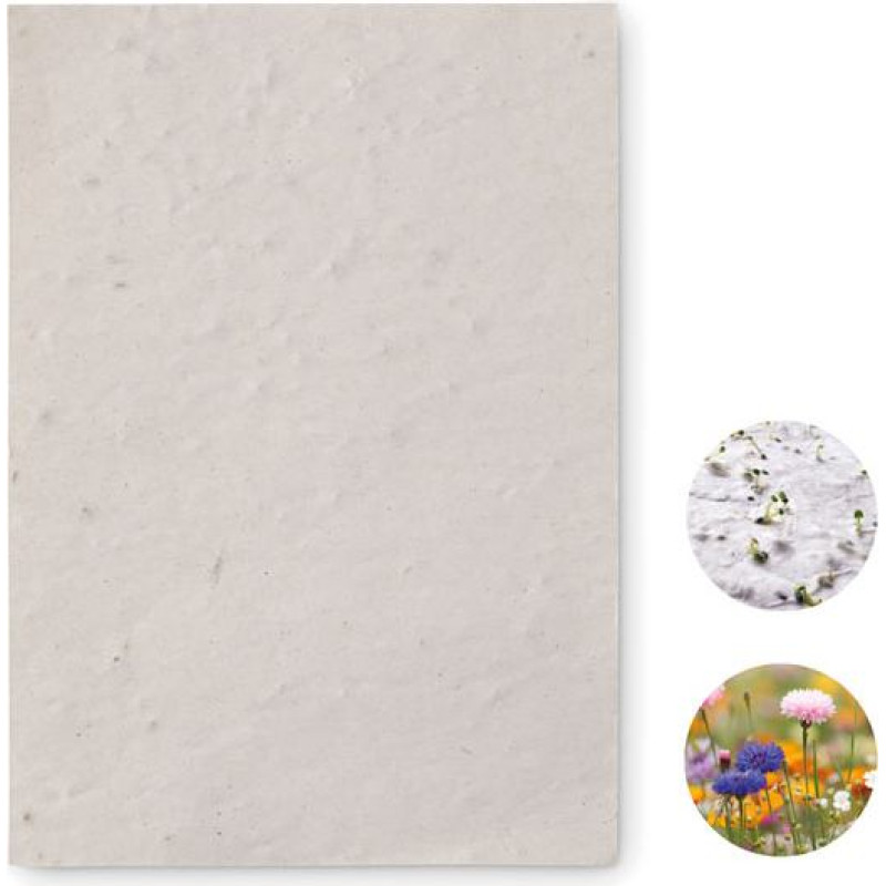 A6 wildflower seed paper sheet